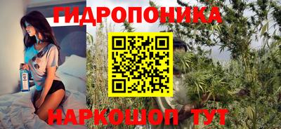 крисы Татарск