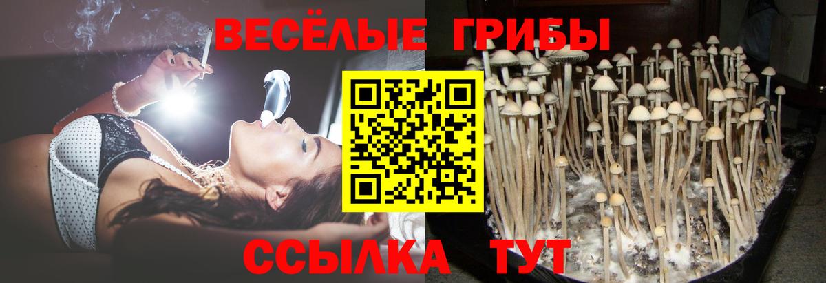 Галлюциногенные грибы мухоморы  сколько стоит  Нальчик  Вход с VPN 